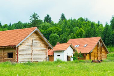orman kenarında ham yuvarlak kütük dağ evi inşa