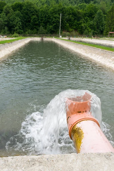 balık çiftliği tankına tatlı su temini - kültür balıkçılığı