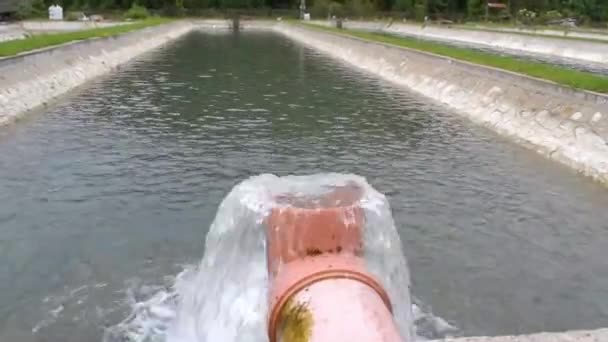 Vattenledningsrör Matning Sötvatten Till Fiskodling Tank — Stockvideo