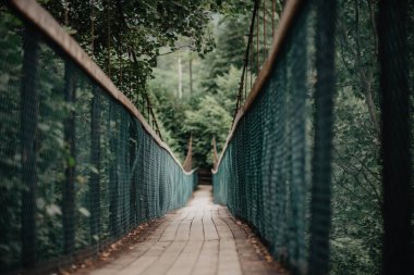 Köprü Nehri asılı. Dağlara giden yol