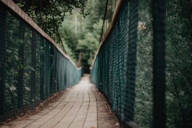 Nehir Asma köprüden dağlara giden yol
