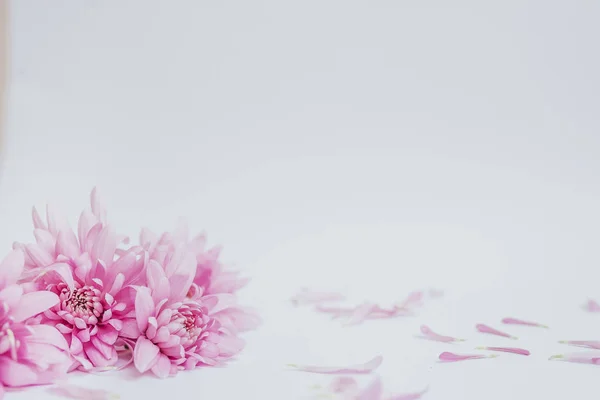 Çiçekli soyut çiçek arkaplanı