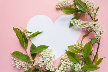 Kalpli çerçeve çiçek kuş kiraz üzerinde pembe bir arka plan ile. Kopya spase