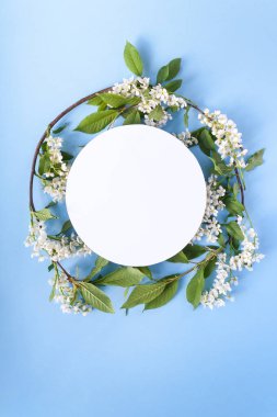 Yuvarlak kare çiçeği kuş kiraz mavi arka plan ile. Kopya spase