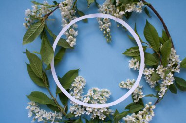 Yuvarlak kare çiçeği kuş kiraz mavi arka plan ile. Kopya spase