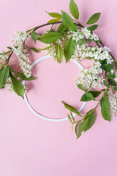 Frame Blossom Bird Cherry Pink Background Copy Spase — Stock Photo, Image