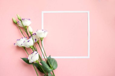 Kare kare witn güzel beyaz lisianthuses ışık üzerinde pembe arka plan. Bahar kavramı kopya alanı ile.