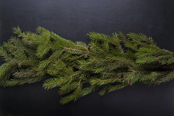休日のシーズン願いと現実的な探してクリスマス ツリーの枝の境界線と背景 — ストック写真