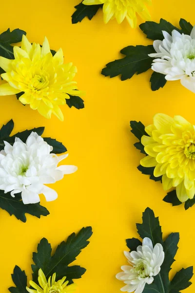 Marzo Festa Della Donna Card Sfondo Crisantemi Bianchi Gialli Fondo — Foto Stock