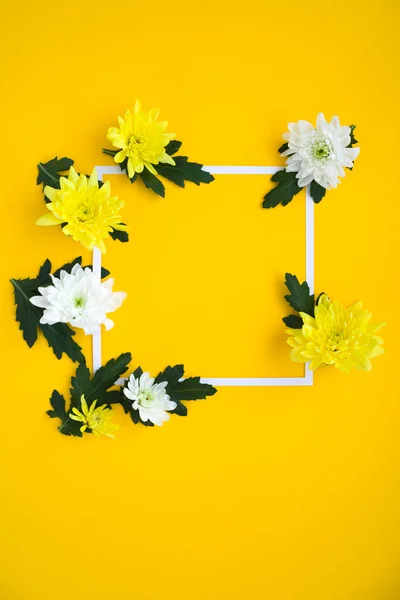 Quadrato Mazzo Fresco Crisantemi Bianchi Gialli Fondo Giallo Colore Alla — Foto Stock