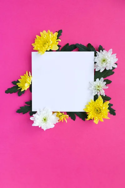 March Women Day Card Background White Yellow Chrysanthemums Pink — Stock Photo, Image