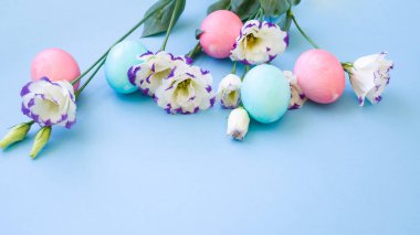 Güzel beyaz lisianthuses renkli ile açık mavi renkli yumurta. Bahar ve Paskalya tatil kavramı kopya alanı ile.