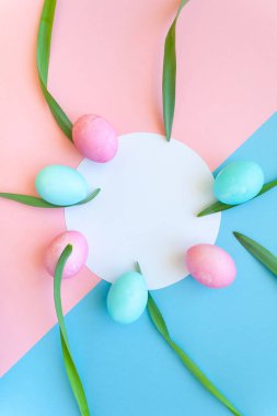 Yuvarlak çerçeve ışık mavi ve pembe arka plan üzerinde renkli yumurta ile güzel beyaz nergis ile. Bahar ve Paskalya tatil kavramı kopya alanı ile.