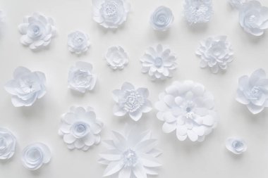Beyaz arka plan üzerinde beyaz kağıt çiçekler. Kağıttan çiçek arka plan
