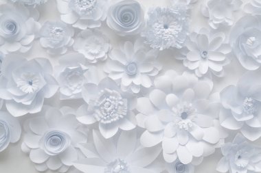 Beyaz arka plan üzerinde beyaz kağıt çiçekler. Kağıttan çiçek arka plan