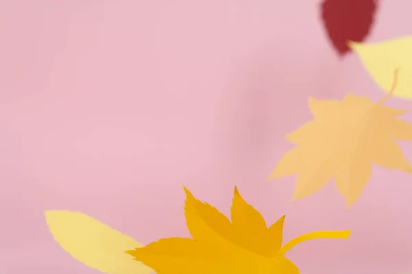 Leaves of paper fall red, orange, yellow leaf fall. Pink background.
