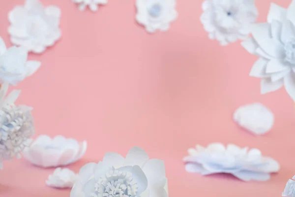 White paper flowers on pink background. Floral