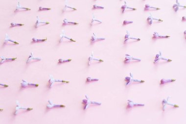 Pembe bir arka plan üzerinde leylak çiçeği ile modern desen