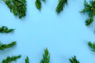 maydanoz ve dereotu mavi çerçeve