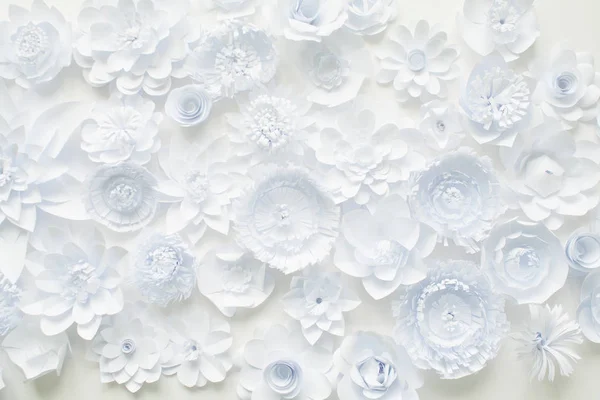 White paper flowers wallpaper, spring summer background, floral
