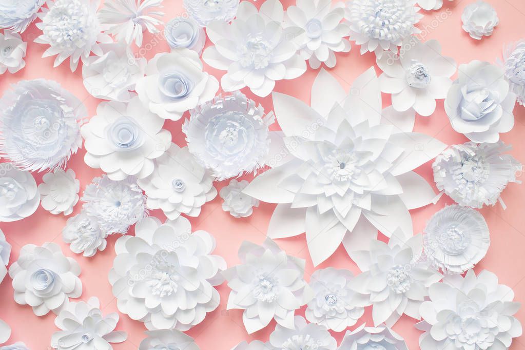 White paper flowers on pink background. Floral