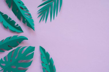 pembe arka planda kağıt kesilmiş tropikal yaprakları.