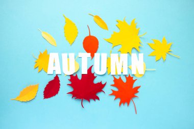 Kağıt sonbahar yaprakları ile kağıt kesilmiş mektup sonbahar