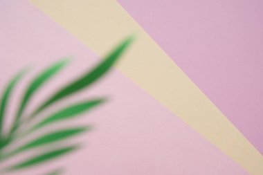 Tropikal pastel pembe arka plan üzerinde bırakır. en az kavramı.