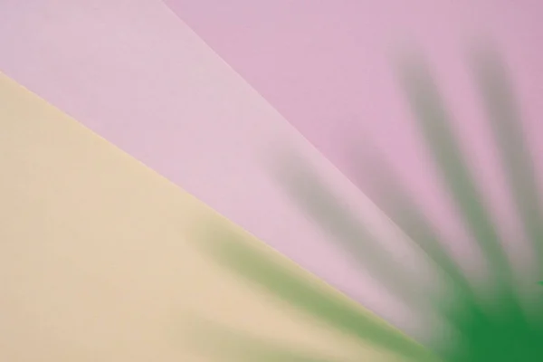 Hojas tropicales sobre fondo rosa pastel. concepto mínimo . — Foto de Stock
