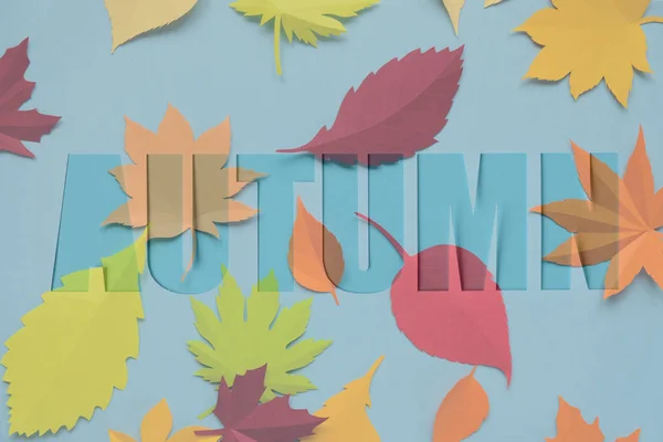 Carta otoño cortada de papel con hojas de papel otoño —  Fotos de Stock