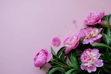 pembe backround üzerinde güzel pembe şakayık. Çiçek kompozisyonu