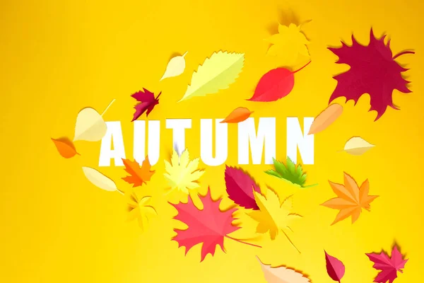 Papieru jesień jesień liść pomarańczowy, czerwony, żółty. — Zdjęcie stockowe