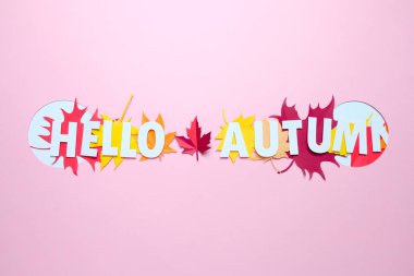 Kağıt yaprakları kırmızı, turuncu, sarı yaprak sonbahar sonbahar.