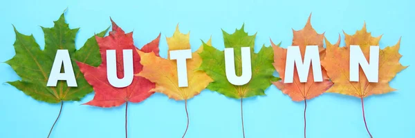 Blätter aus Papier fallen rot, orange, gelbe Blatt fallen. Herbstkonzept — Stockfoto