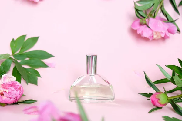 Parfüm üveg rózsaszín háttér gyönyörű peonies. A koncepció az íz. — Stock Fotó