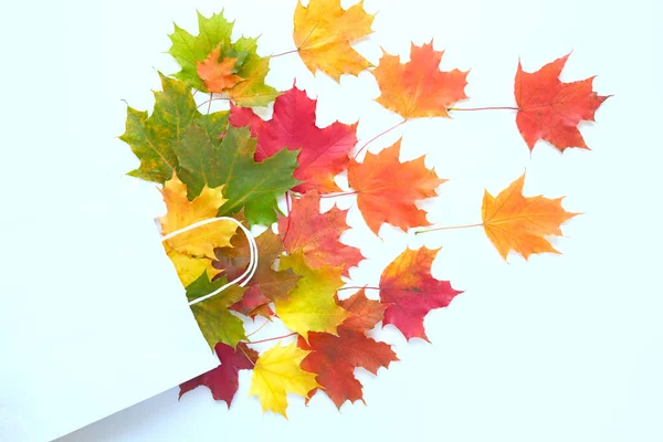 Осенняя распродажа. Бумажный пакет с осенними кленовыми листьями. Концепция магазинов — стоковое фото