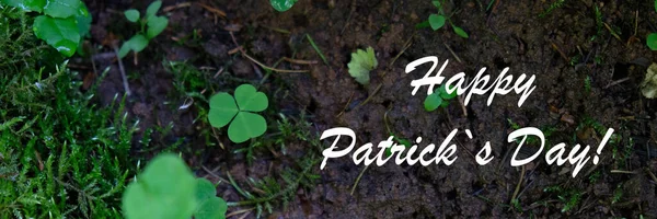 Happy Patrick Day Green Clovers Leaf Background — стоковое фото