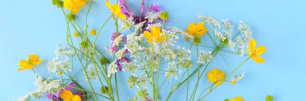 Bouquet Wild Flowers Blue Background Long Format Web — Stock Photo, Image