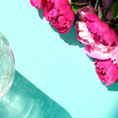 Pastel arka planda sert gölgeli pembe şakayıklar ve yapraklar, kopyalama alanı. Moda, yaz konsepti. Üst Manzara. TÜRKÇE GÖREVLERİ