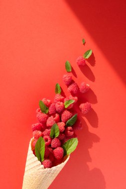 Taze olgun ahududular ve nane yaprakları kırmızı bir arka planda, modaya uygun gölgeli waffle külahında. Sağlıklı gıda ve doğal vitamin kavramı