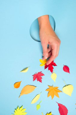 Mavi arka plandaki delikten çıkan insan elini kapat. Yapraklar elden düşer, yapraklar düşer.