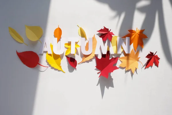 紙から切り取った秋の手紙流行の影を背景に白地に紅葉 — ストック写真