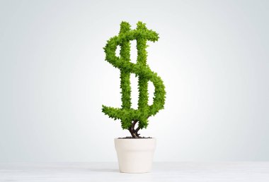 Green dollar tree growing in white pot clipart