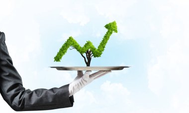 Garson kızın elinde beyaz eldiven yeşil büyüyen grafik gökyüzü arka plan üzerinde ile metal tepsi üzerinde sunma kırpılmış görüntü.