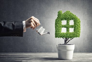 El gibi ev şeklinde tencerede yeşil bitki sulama kadının