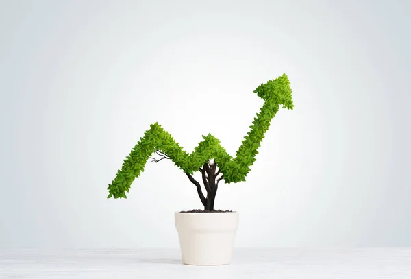 Concept van beleggingsopbrengsten en groei met boom in pot — Stockfoto