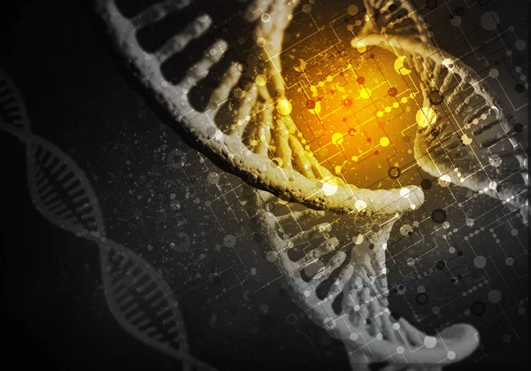 DNA 분자의 배경 — 스톡 사진
