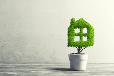 Yeşil bitki tencerede gibi ev şeklinde