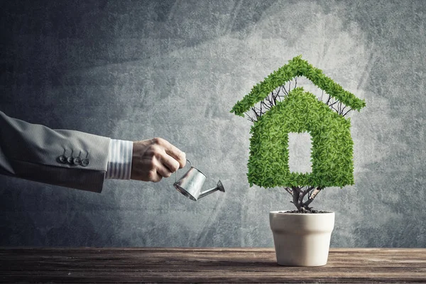 Mano Del Hombre Regando Planta Verde Maceta Forma Casa —  Fotos de Stock