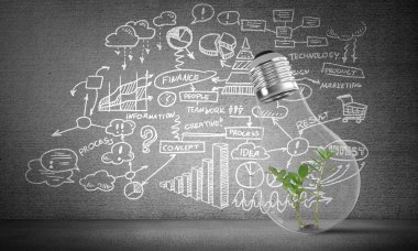 Kabataslak iş planı bilgileri gri duvara karşı ampul içinde yeşil bitki ile yerleştirilir. 3D render.